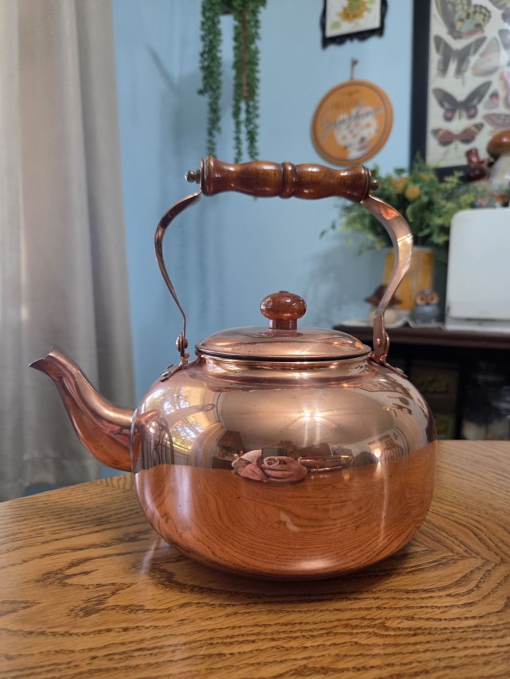 Vintage Copper Tea Kettle Cookware | Turned Wooden Handle & Knob